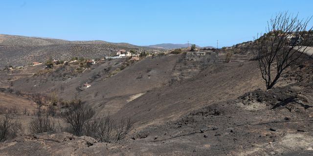 Τι κάηκε από την φωτιά στην Αν. Αττική – Η ανάλυση του Copernicus