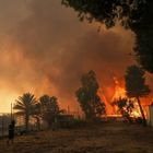 Φωτιές: Νύχτα αγωνίας σε Χίο και Πάτρα – Στέλνει βοήθεια η Ευρωπαϊκή Ένωση