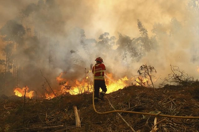 Δεύτερος νεκρός από τις φωτιές στην Πορτογαλία: Πυροσβέστης έχασε τη ζωή του