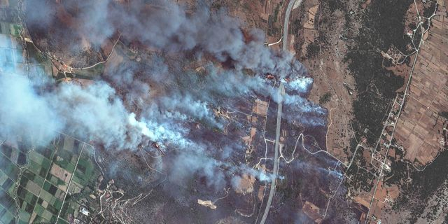 Φωτιές: Ξεκίνησαν οι αυτοψίες στις πυρόπληκτες περιοχές