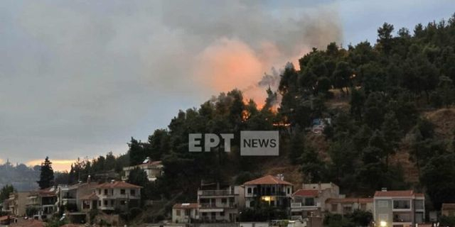 Σέρρες: Οριοθετήθηκε η φωτιά στον λόφο του Κουλά