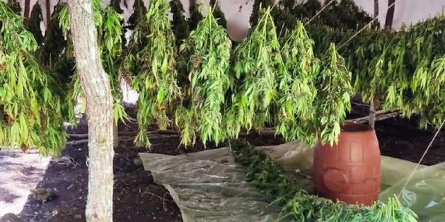 Εξάρθρωση δύο καρτέλ ναρκωτικών με κοινό αρχηγό