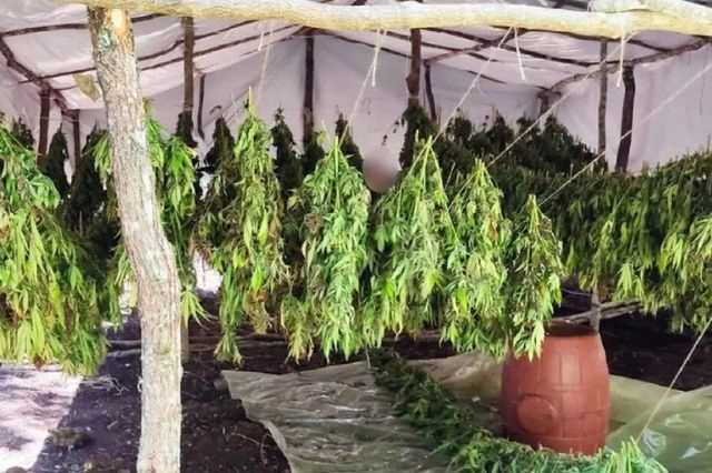 Εξάρθρωση δύο καρτέλ ναρκωτικών με κοινό αρχηγό