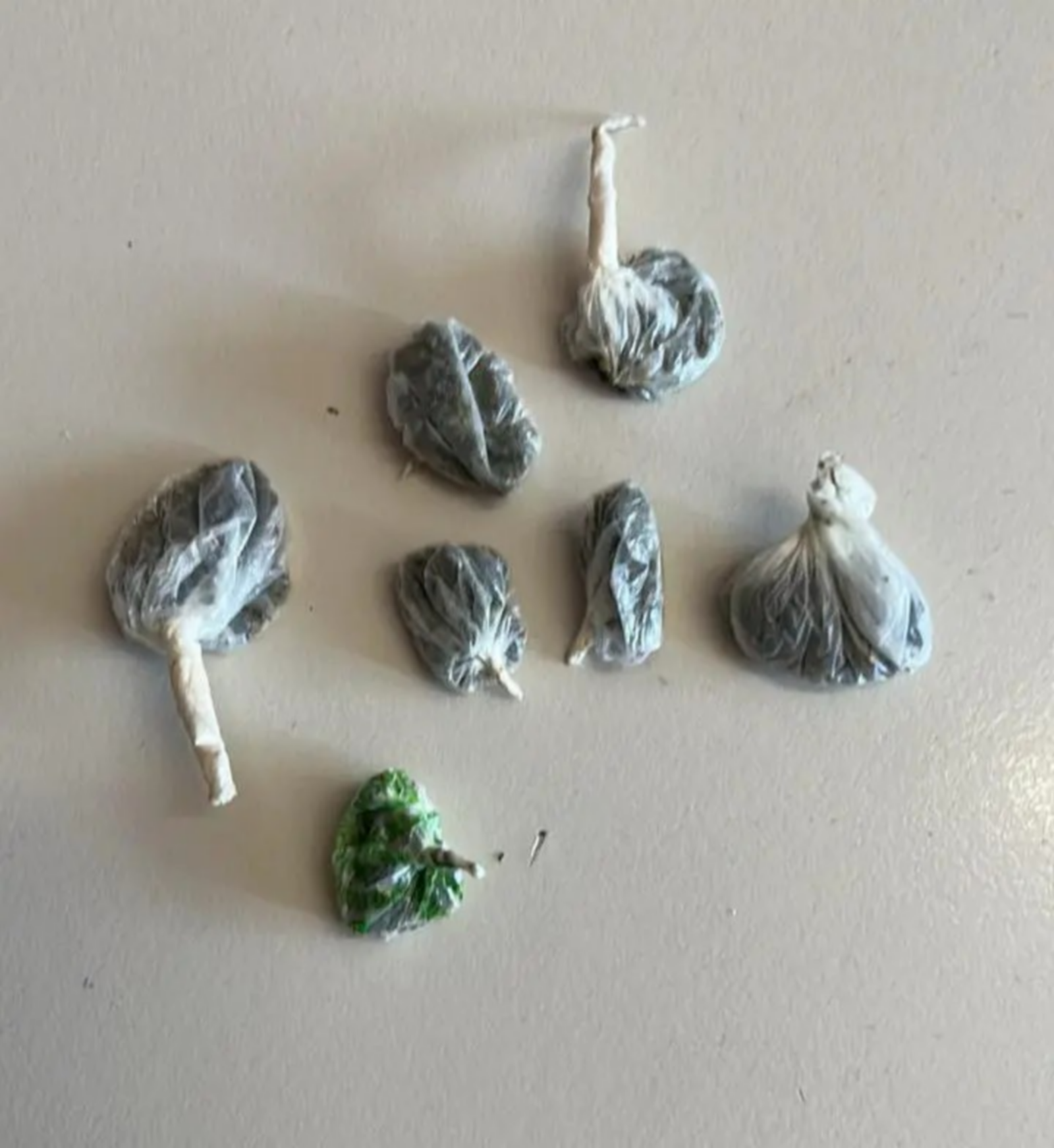 Τα κατασχεθέντα της εφόδου