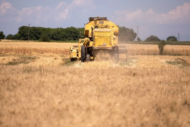 Ανδρουλάκης για εξεταστική ΟΠΕΚΕΠΕ: Η ΝΔ μεθόδευσε μια διαδικασία συγκάλυψης