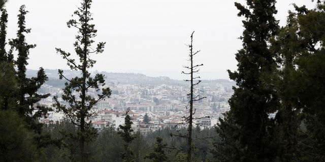Θεσσαλονίκη: Έσφαξε αρνί στο Σέιχ Σου για να τιμήσει έθιμο