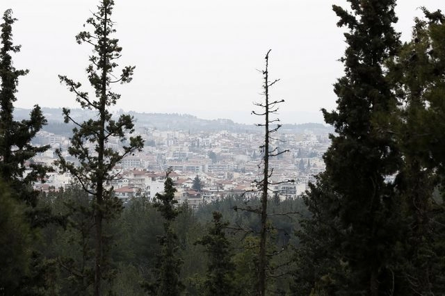 Θεσσαλονίκη: Έσφαξε αρνί στο Σέιχ Σου για να τιμήσει έθιμο