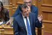 Ο Θάνος Πλεύρης