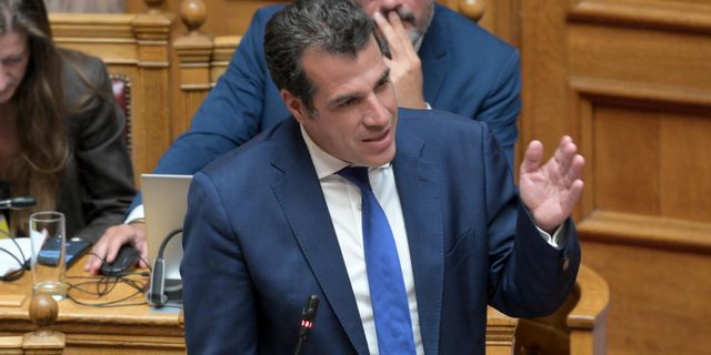 Ο Θάνος Πλεύρης