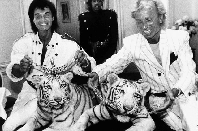 Η ιστορία των μάγων Siegfried και Roy γίνεται σειρά – Από την αποθέωση στην τραγωδία