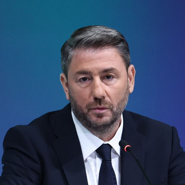 Ν. Ανδρουλάκης: “Η πατρίδα μας ζει δύσκολες στιγμές” – Συλλυπητήρια για τα θύματα των πυρκαγιών