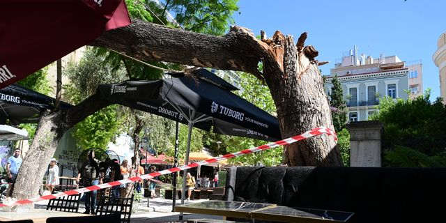 Πτώση δέντρου στο κέντρο της Αθήνας: “Έχανα πολύ αίμα” είπε η τραυματίας