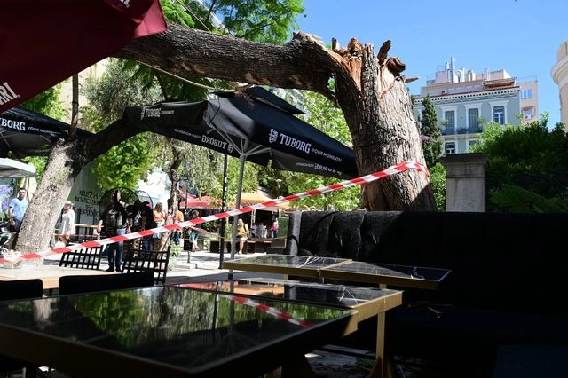 Πτώση δέντρου στο κέντρο της Αθήνας: “Τη γυναίκα την πήραν αιμόφυρτη”