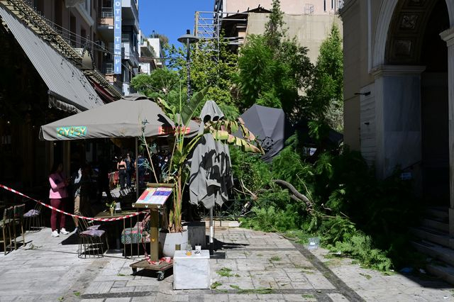 Πτώση δέντρου στο κέντρο της Αθήνας