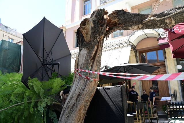 Πτώση δέντρου στην πλατεία Αγίας Ειρήνης