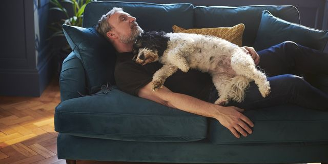 Το ζώο που κοιμάται 22 ώρες την ημέρα