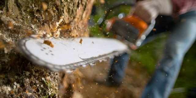 Τραγωδία στη Λάρισα: Νεκρός 50χρονος – Έπεσε πάνω στο αλυσοπρίονο που κρατούσε