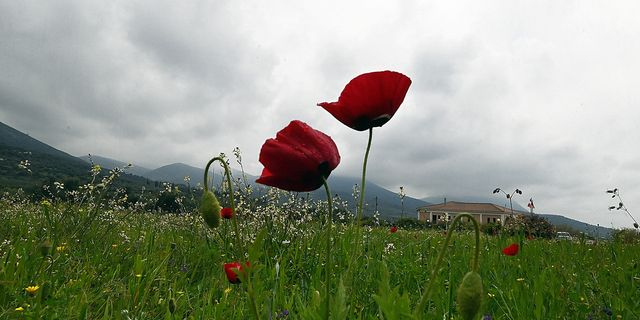 Μουντός καιρός (αρχείου)