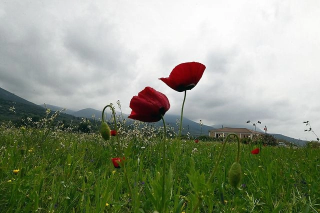 Μουντός καιρός (αρχείου)