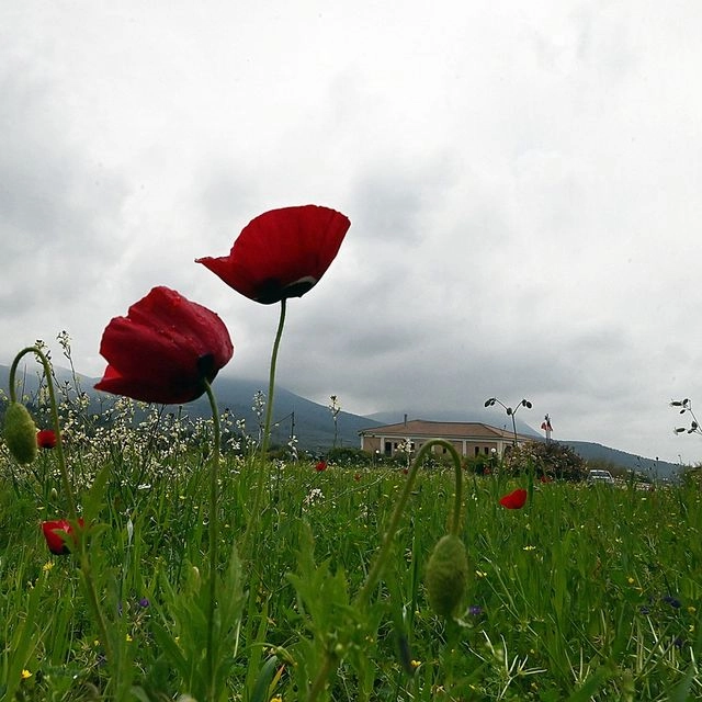 Μουντός καιρός (αρχείου)