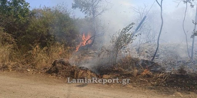 Φθιώτιδα: Μεγάλη πυρκαγιά στον Άγιο Σεραφείμ – Σηκώθηκαν ενάερια