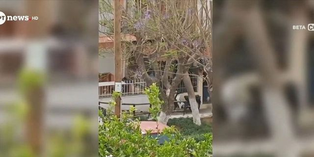 Μαφία της Κρήτης: Βίντεο ντοκουμέντο με πελάτες να επισκέπτονται το σπίτι του “στρατηγού”