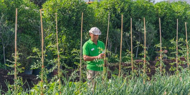 “Χωρούν” στα ξενοδοχεία οι βιώσιμες καλλιέργειες;