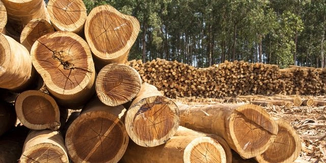 ΗΠΑ: Επιβολή δασμών σε εισαγωγές ξυλείας και ξύλινα προϊόντα