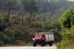 Οριοθετήθηκε η φωτιά στα Καλύβια Αττικής – Κάηκαν 25 στρέμματα γης