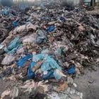 Θεσσαλονίκη: Εξιχνιάσθηκε υπόθεση περιβαλλοντικής ρύπανσης από ζωικά απόβλητα