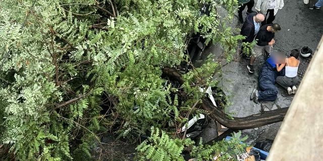Kακοκαιρία: Πτώση δέντρου στο κέντρο της Αθήνας – Ένας τραυματίας
