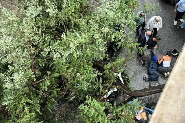 Kακοκαιρία: Πτώση δέντρου στο κέντρο της Αθήνας – Ένας τραυματίας