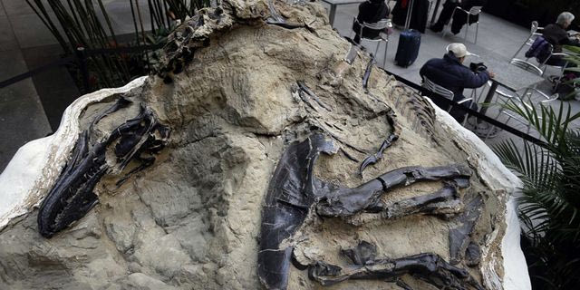 Η ανακάλυψη νέου σκελετού ανατρέπει τα όσα ξέραμε για τον Τυρανόσαυρο Ρεξ