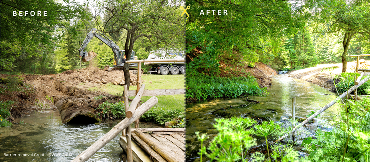 Απελευθέρωση ποταμού στην Κροατία