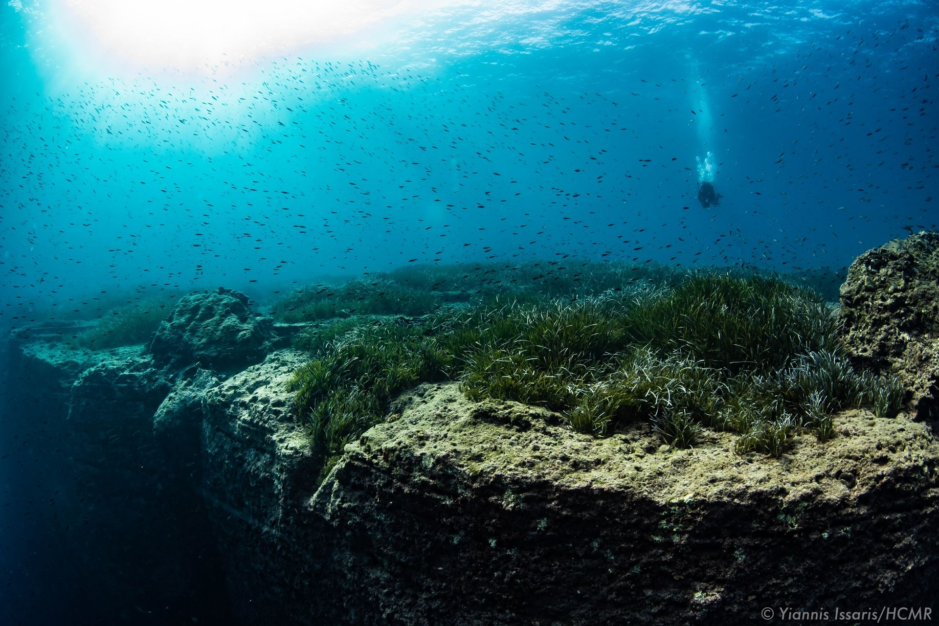 Η ΑΞΙΑ ΤΗΣ ΠΟΣΕΙΔΩΝΙΑΣ: ΕΝΑΣ ΥΠΕΡ-ΗΡΩΑΣ σε ΘΑΛΑΣΣΕΣ ΚΑΙ ΑΚΤΕΣ