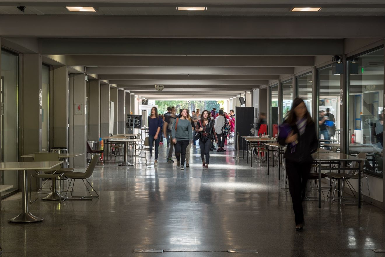 Soft Skills: Τα “αόρατα όπλα” που ζητά η αγορά – Πώς καλλιεργούνται μέσα από τη φοιτητική ζωή