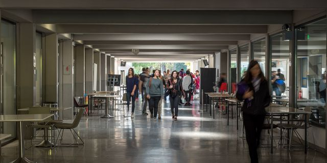 Soft Skills: Τα “αόρατα όπλα” που ζητά η αγορά – Πώς καλλιεργούνται μέσα από τη φοιτητική ζωή