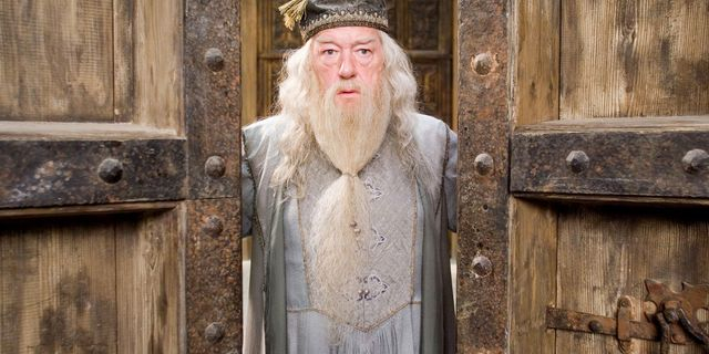 Michael Gambon as Albus Dumbledore
