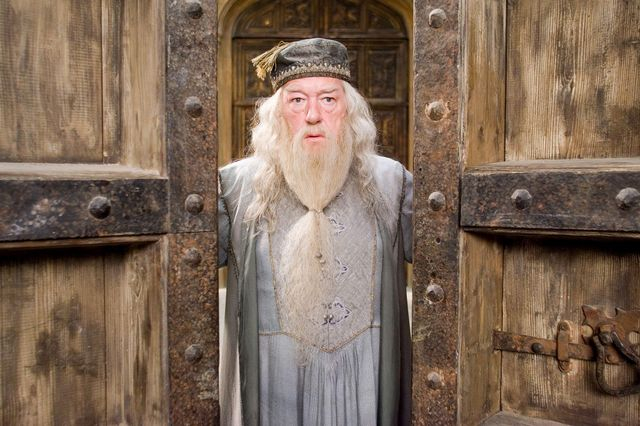 Michael Gambon as Albus Dumbledore