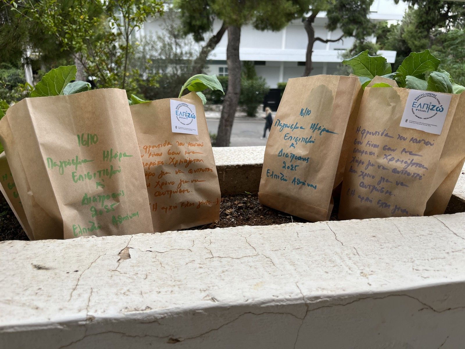Τα γλαστράκια που θα δοθούν στους συμμετέχοντες 