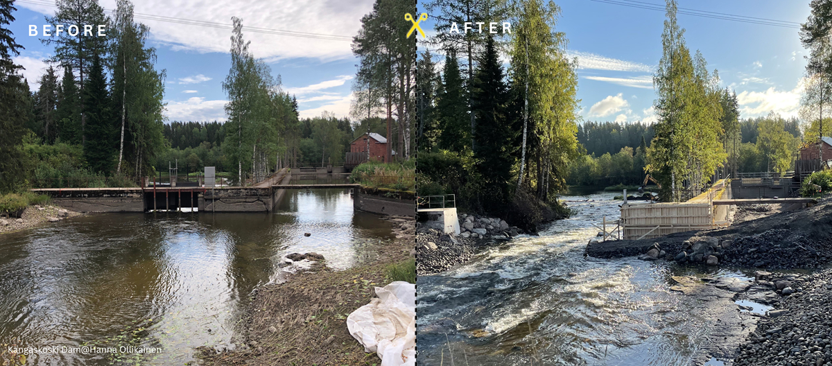 Απελευθέρωση ποταμού στη Φινλανδία 