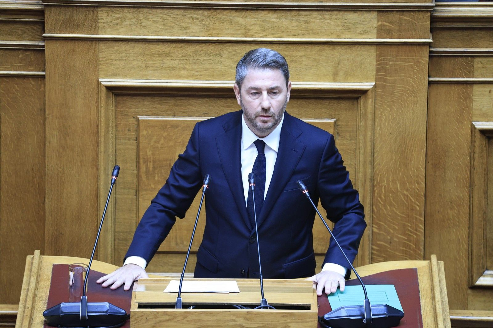 Ο Νίκος Ανδρουλάκης στο βήμα της Βουλής