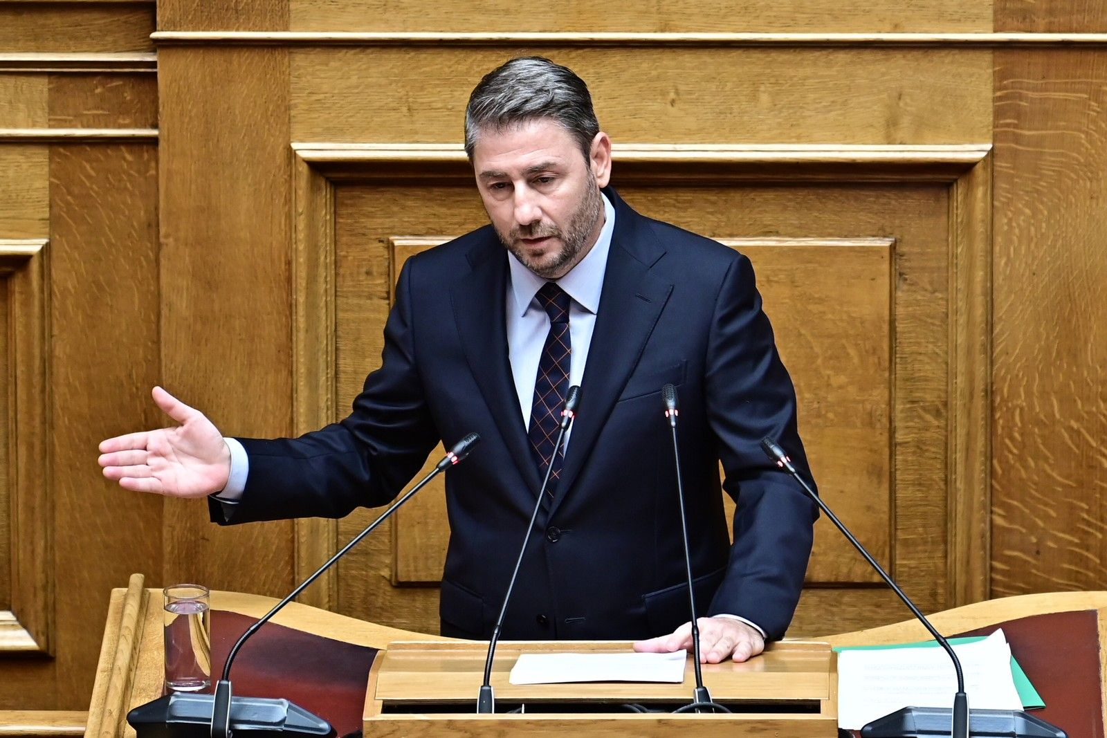 Ο Νίκος Ανδρουλάκης στη Βουλή