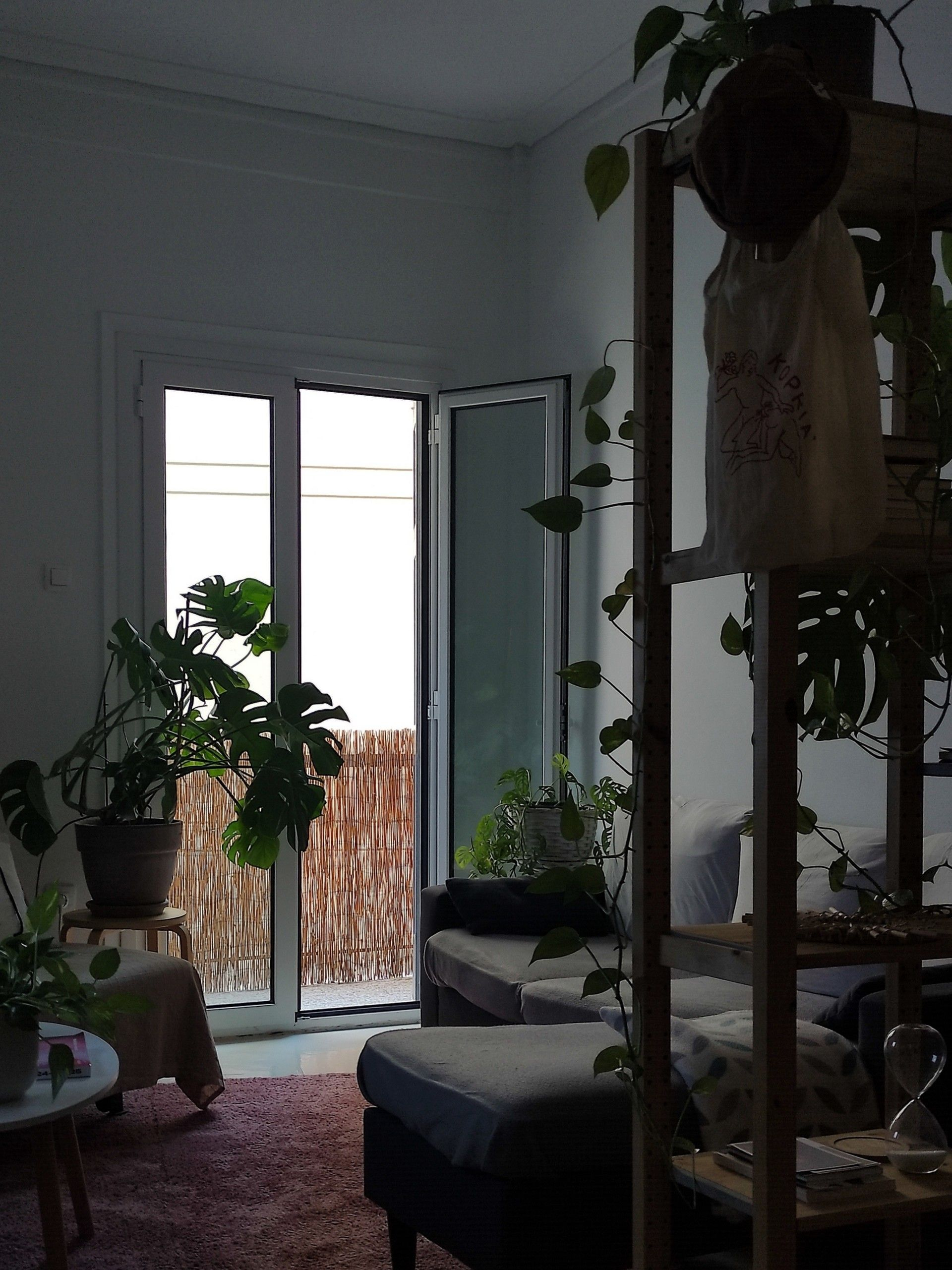 Τα φυτά του Δημήτρη