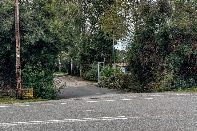 Διπλό φονικό σε κάμπινγκ στη Φοινικούντα