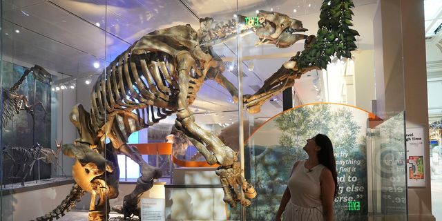 Η τελευταία ληστεία σε μουσείο της Γαλλίας είχε λεία 1,5 εκατ. ευρώ