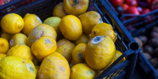 Μουχλιασμένα λεμόνια