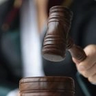 Θεσσαλονίκη: Κάθειρξη σε 63χρονο για τον θάνατο 51χρονου κατά την εκτέλεση εργασιών παράνομης υλοτομίας