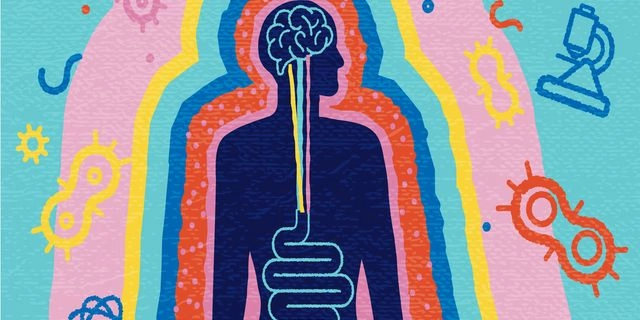 Έχουμε δεύτερο εγκέφαλο;