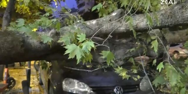 Θεσσαλονίκη: Δέντρο έπεσε σε κεντρικό δρόμο και καταπλάκωσε ΙΧ